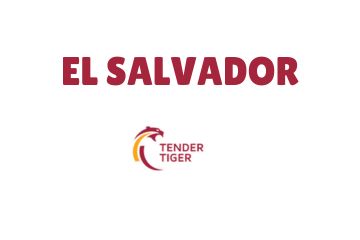 India El Salvador Business and Cultural council - Tender listing in Tender Tiger